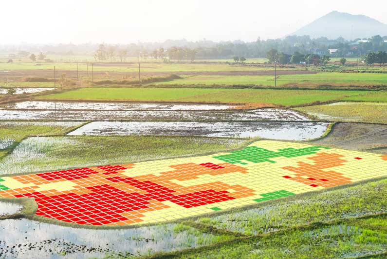 AI & computer vision enabled crop monitoring