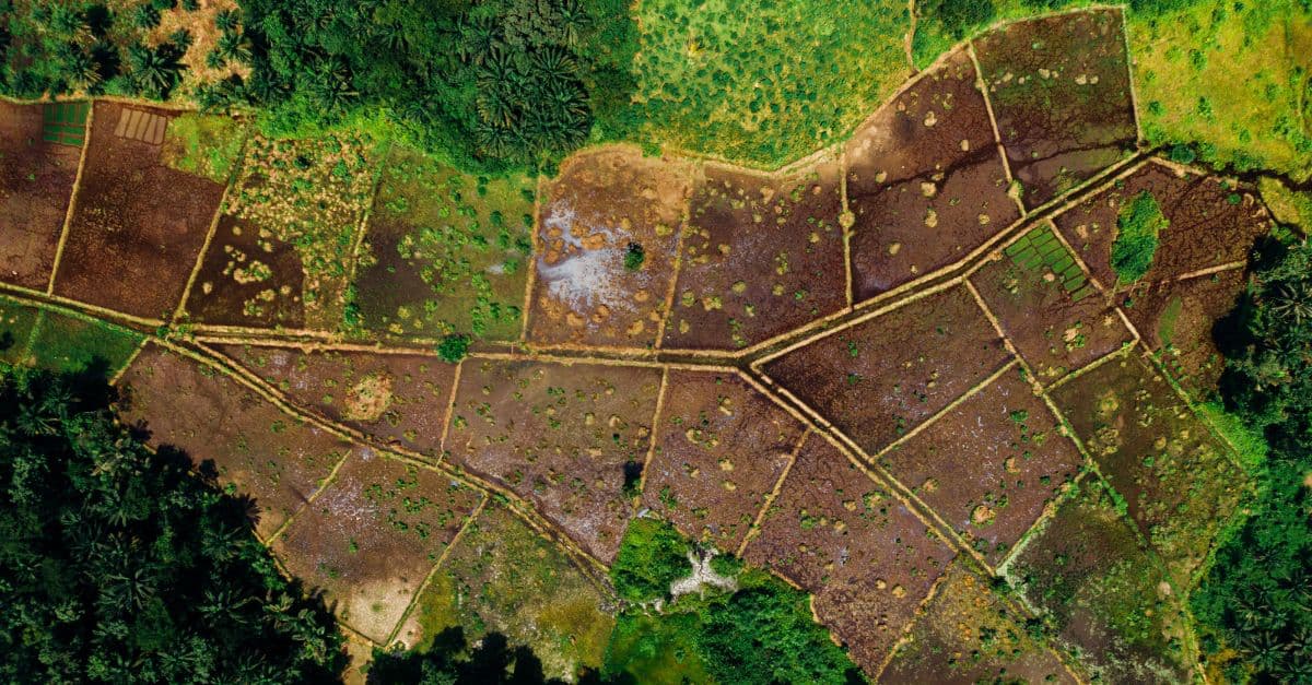 AI-based crop yield prediction