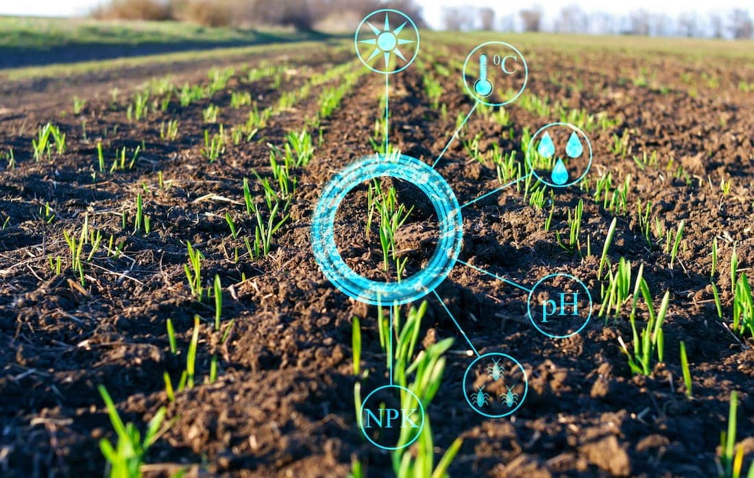 AI alghoritms for field monitoring