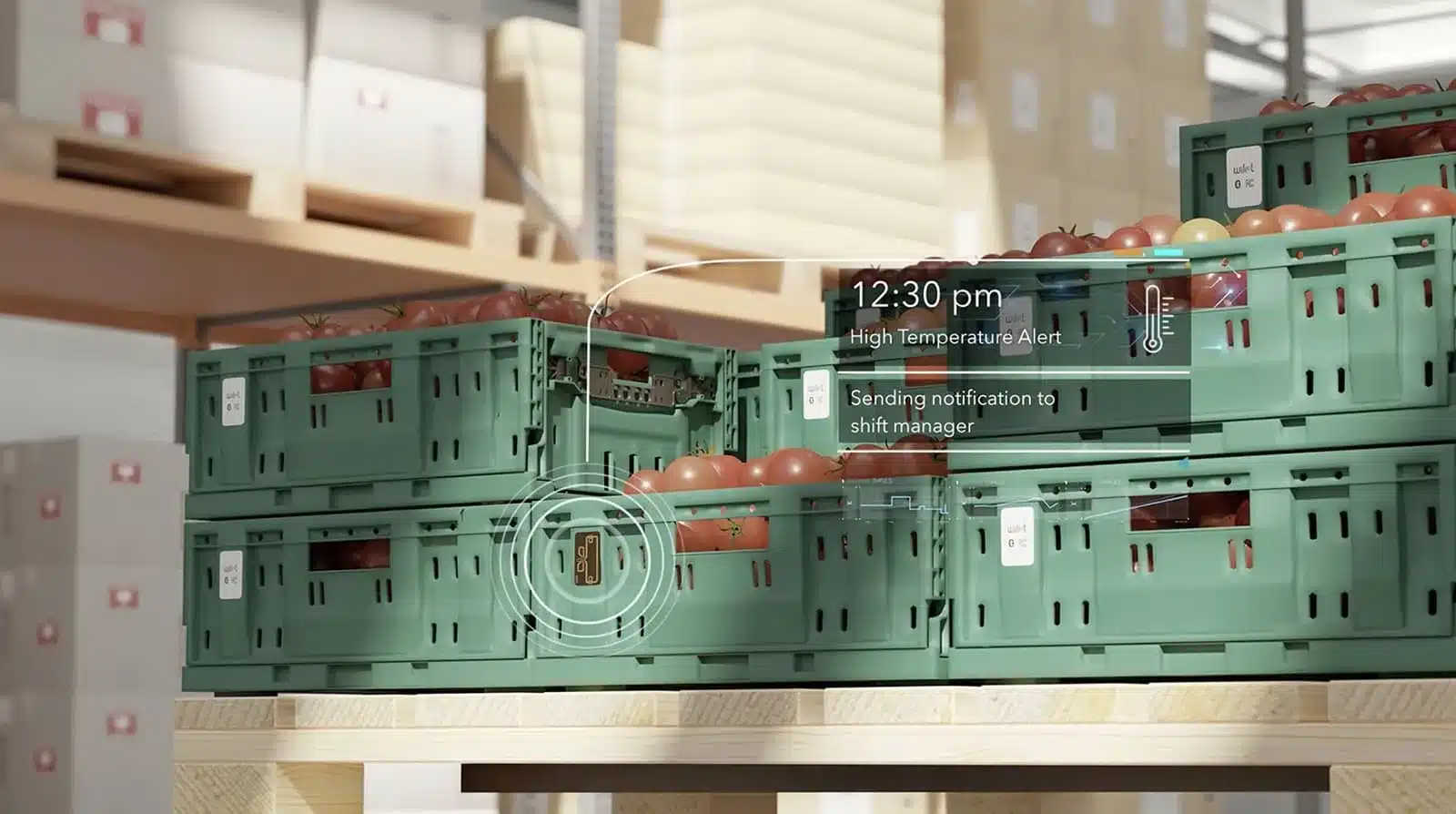 Product temperature monitoring