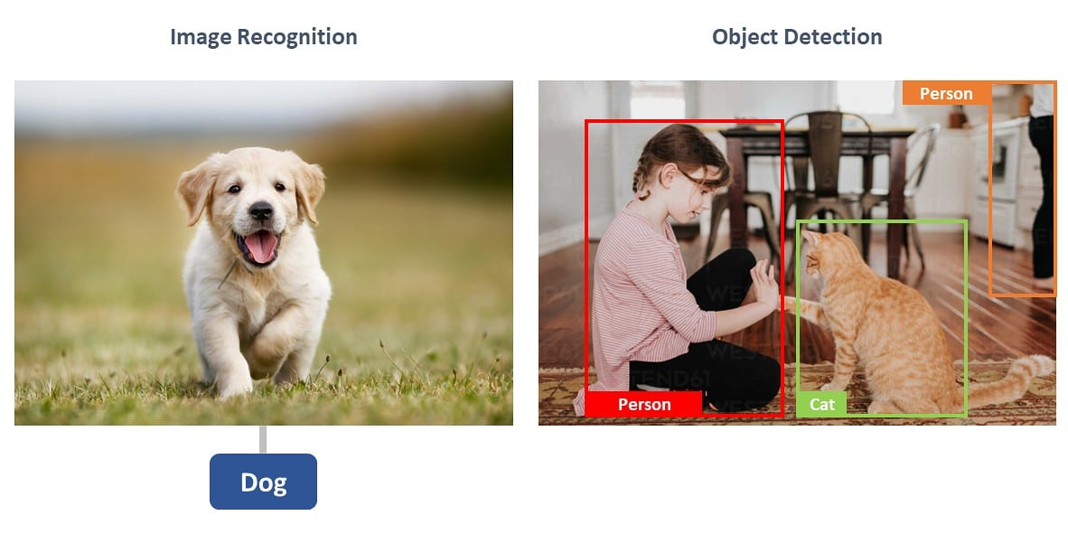 What are the differences between object detection and image recognition