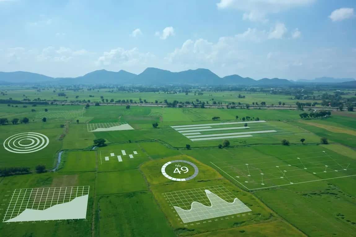 AI-based plant monitoring