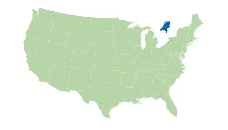 USA versus Netherlands comparison