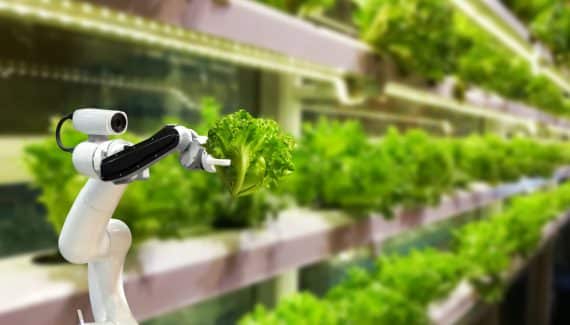 Indoor vertical farming technology